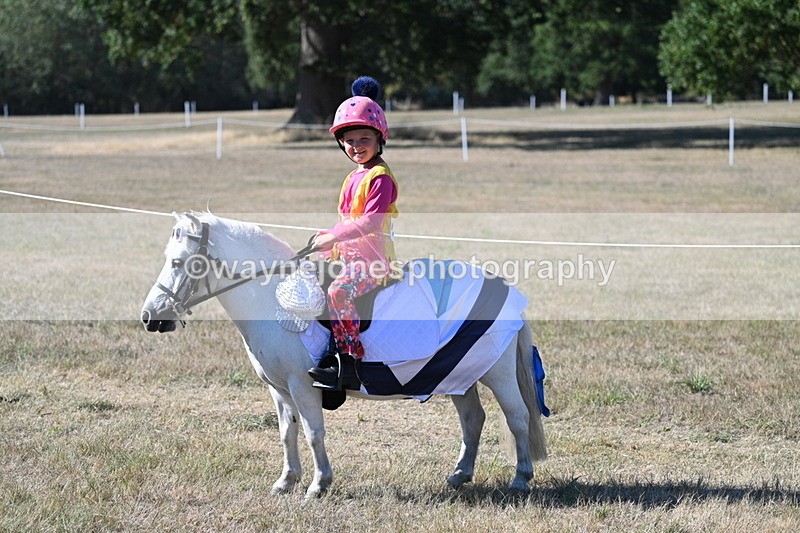 WJ7_2495 - Class 45 Fancy Dress (My Fav)