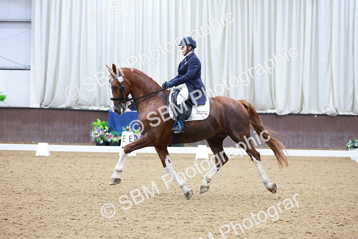 SBM_021234 - Class 14 - FEI Grand Prix - 17.40-18.34