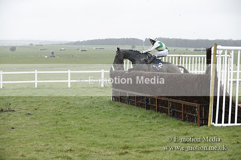 PtP 150320 0176 - New Forest Point-to-Point Larkhill 15/03/20