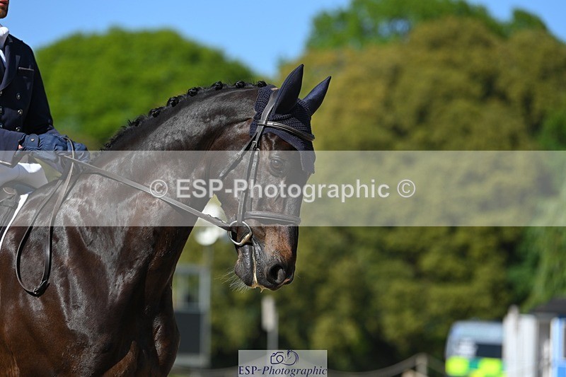 230526-165227-07418 - 258-DHI_KING_NELSON-Barnie_Brotherton-WEDTrotUp+DR