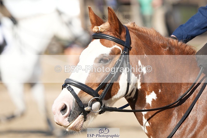 250822A-092709-18879 - WC Round 2 9.00 to 10.00