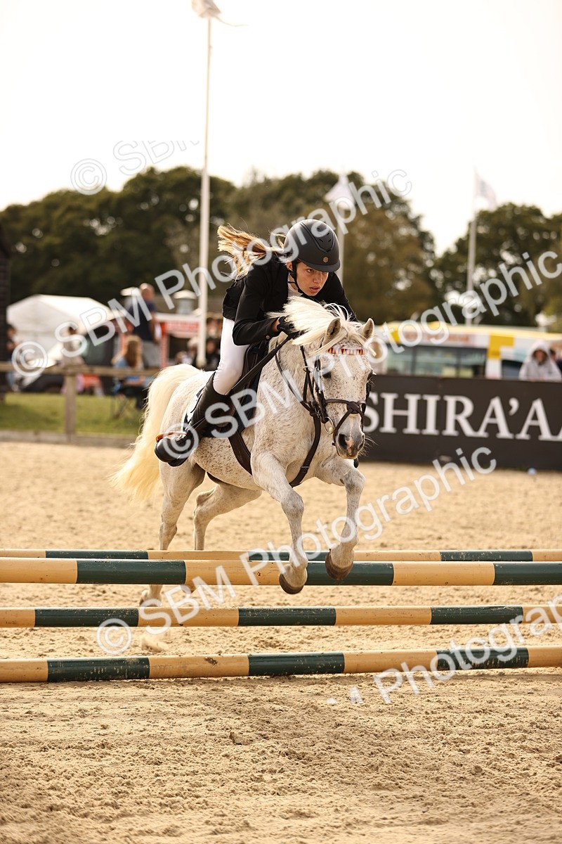 SBM_70750 - J13 - Junior Pony 60cm Championship