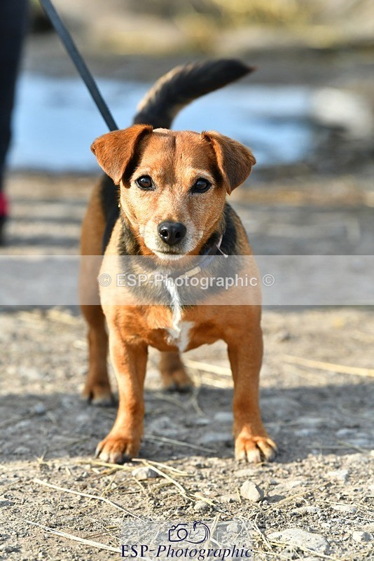 230817-083621-02425 - Stable Shots