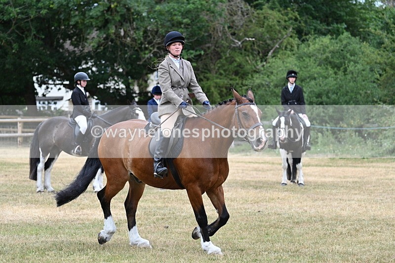WJ7_1276 - Class 3 Family Mount
