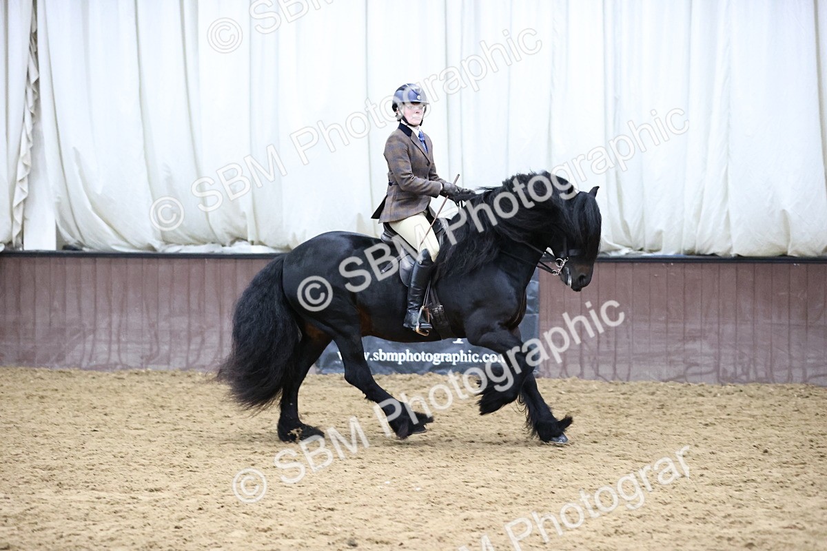 SBM_6537 - Class 43 - Ridden Native Breeds