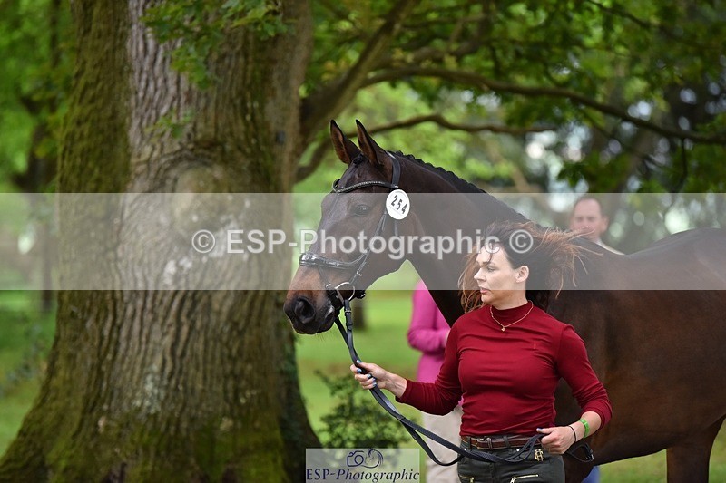 240522-172128-01545 - 254-KILBUNNY_RIOJA-Kate_Penny