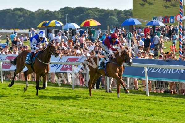 160623-Race 7-Diamond Bay-6579 - Race 7 5.21pm Constant Security Handicap