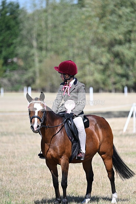 WJ7_4198 - Class 9 Mountain & Moorland Ridden
