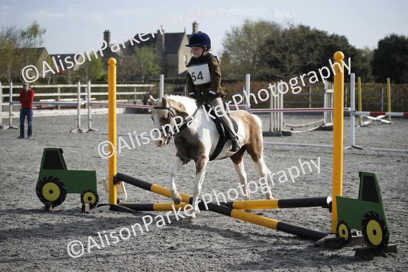 20250412-0076 - Show Jumping
