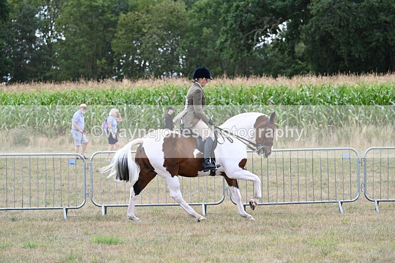 WJ7_5231 - Class 12 Ridden Cob