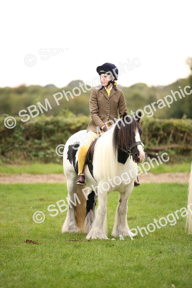 SBM_73568 - S68 - Traditional Cob Ridden