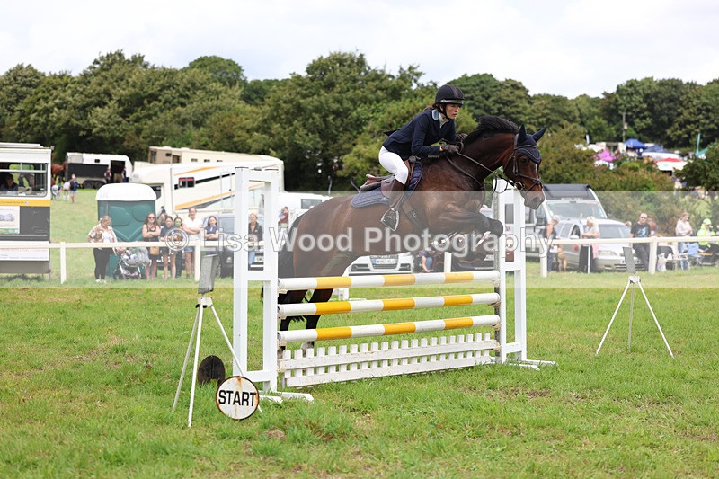 3E7A7157 - Class 5: Senior British Novice/90cm open