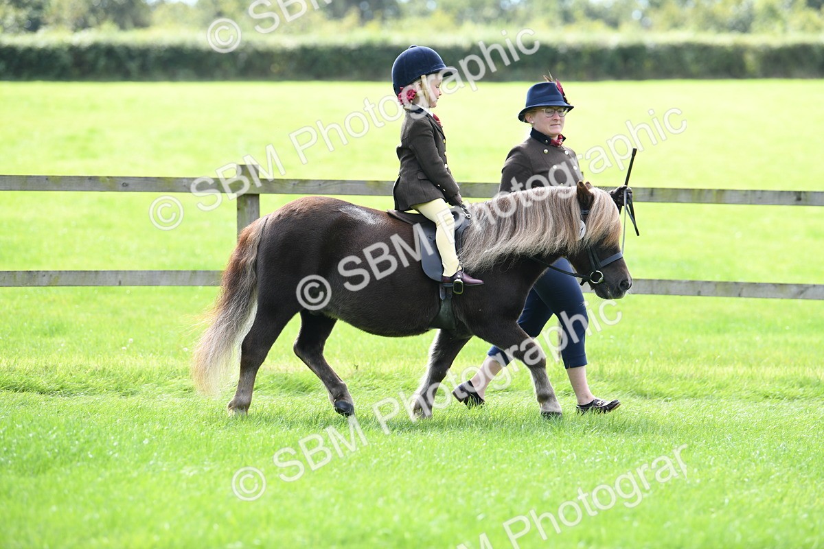 SBM_42511 - S20 - Lead Rein Mountain & Moorland Pony