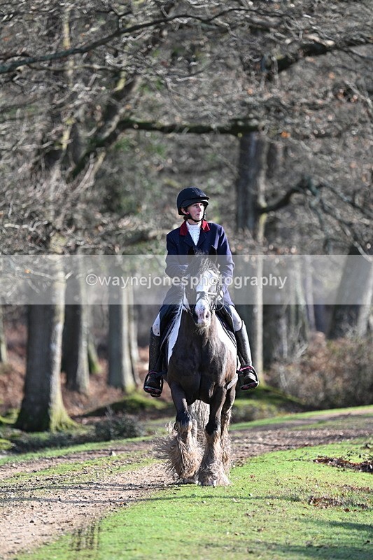 WJ7_7783 - Line 3 (no line 4 or 5)