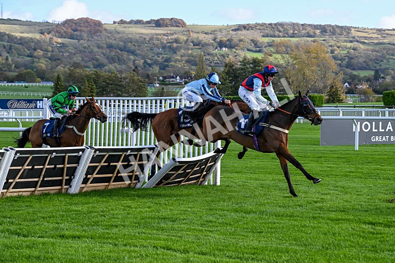241025-Race 1-Whatsupwithyou-2082 - Race 1
