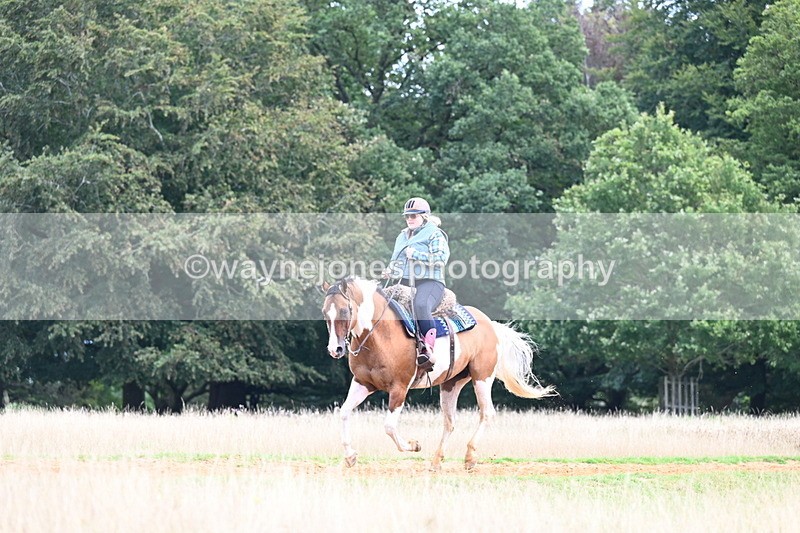 DSC_7068 - Time at Statue 12:45 to 13:15