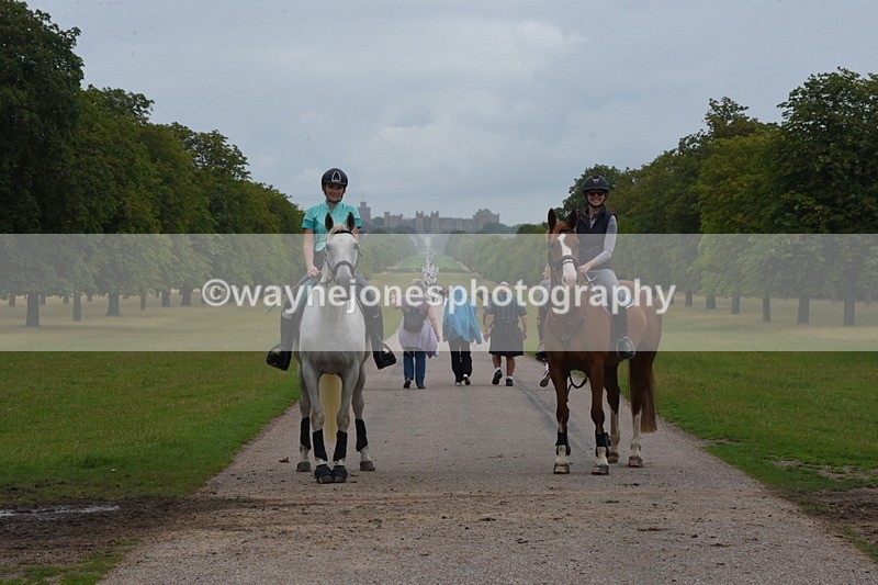 TT3_9541 - Time at Crossing 11:28 to 13:16