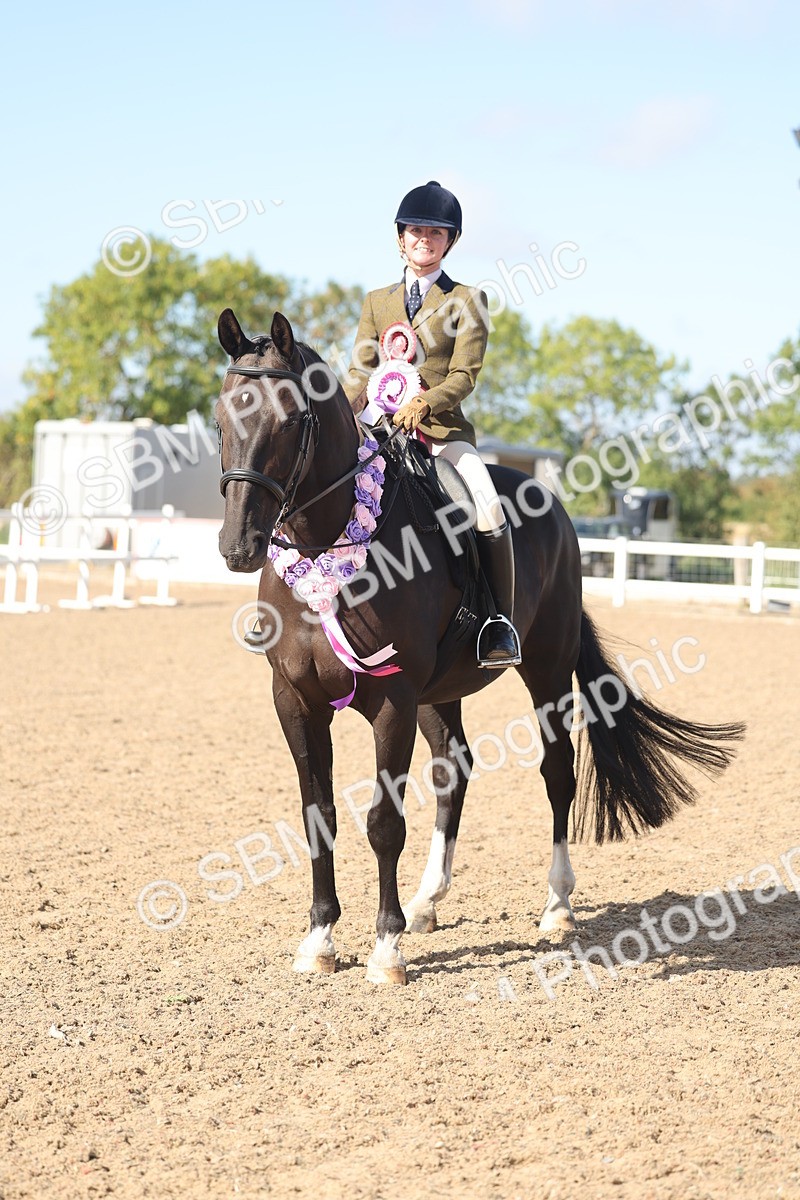 SBM_22689 - Class 805 - Ridden Veteran Horse