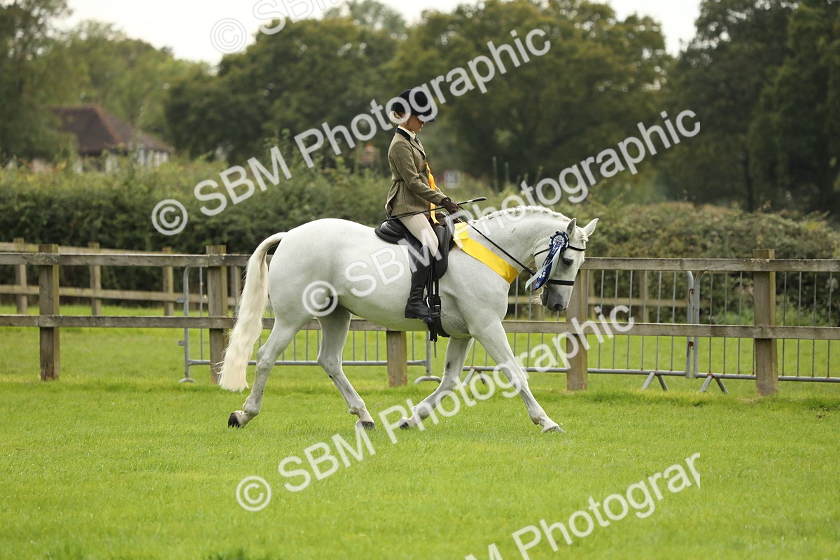 SBM_75427 - Equitation Supreme Championship