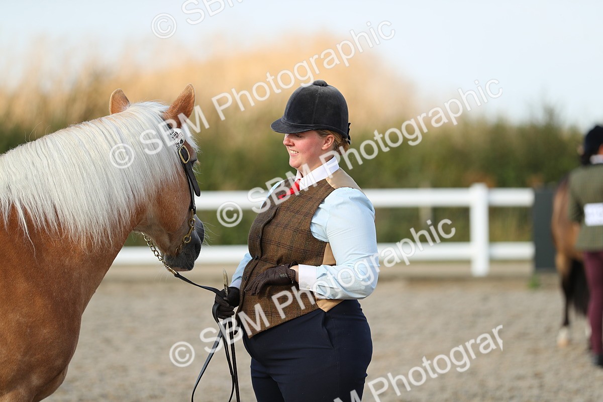 SBM_09042 - Class 29 IH Veteran Pony