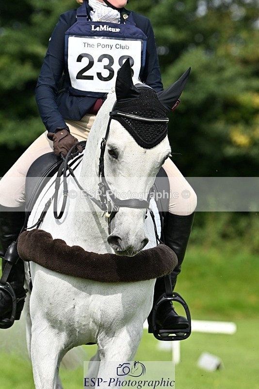 230826-102439-16493 - Sections A & B 10 to End