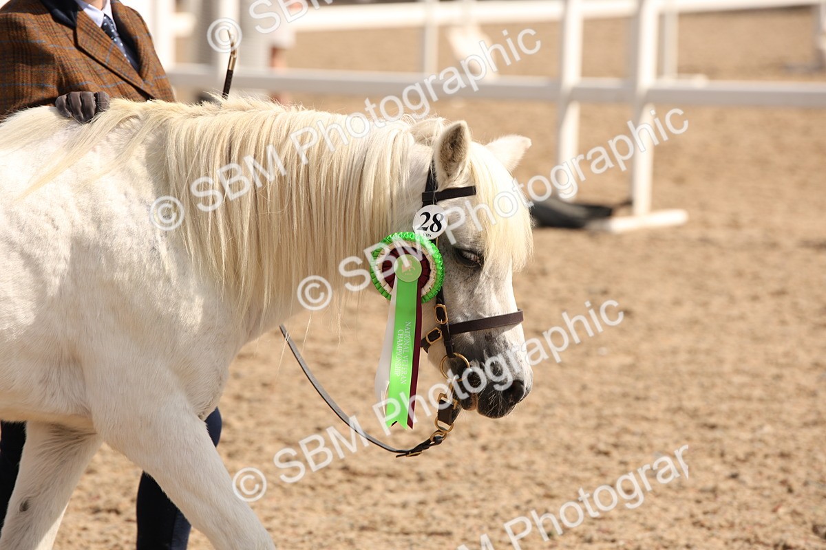 SBM_03810 - Class 19 Judge's Favourite