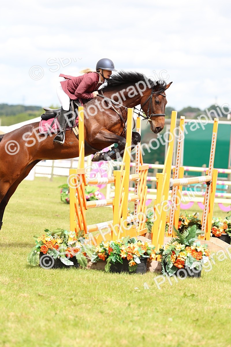 SBM_13914 - Class 206 - Senior Newcomers - 1.10m Open