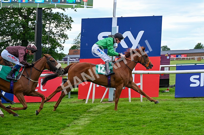 310526-Race 7-Annastarzy-9442 - Race 7 18.45pm Sky Bet Build A Bet Fillies' Handicap