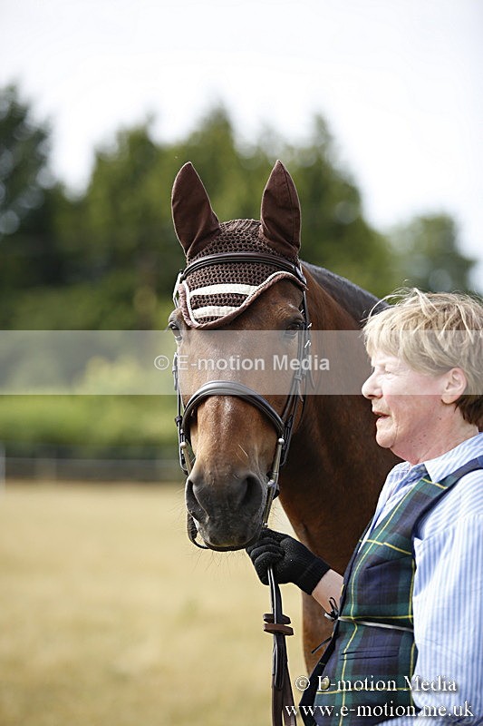 _C7A9387 - BVRC Sow 2018 Ring 2