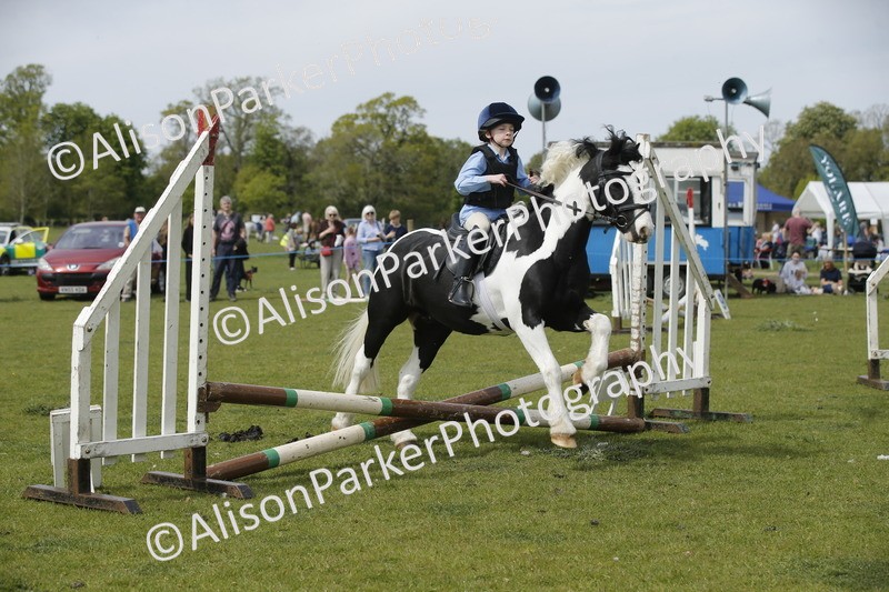 20260426-4671 - Class 5 - Hoof and Foot