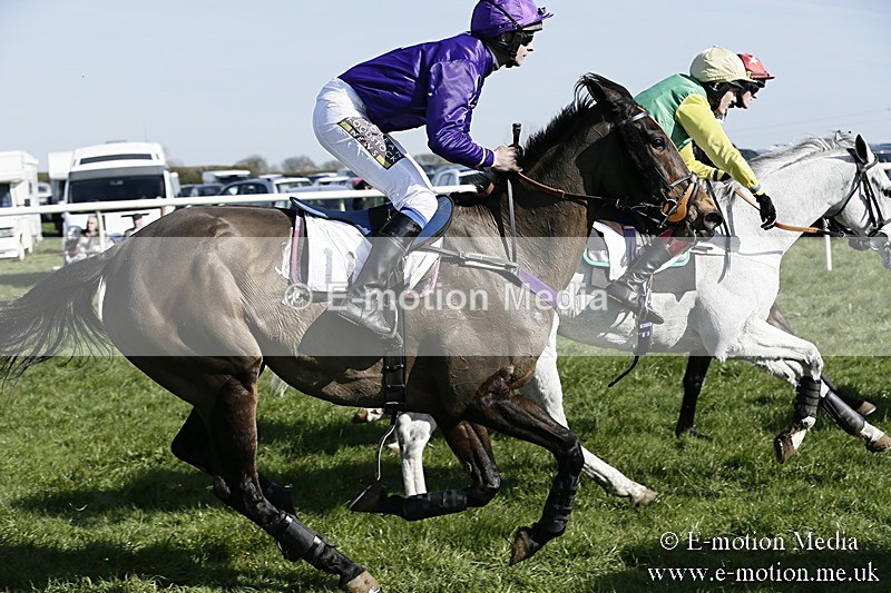 PtP 260317 252 - Mendip Farmers Point-to-Point Ston Easton 26/03/17