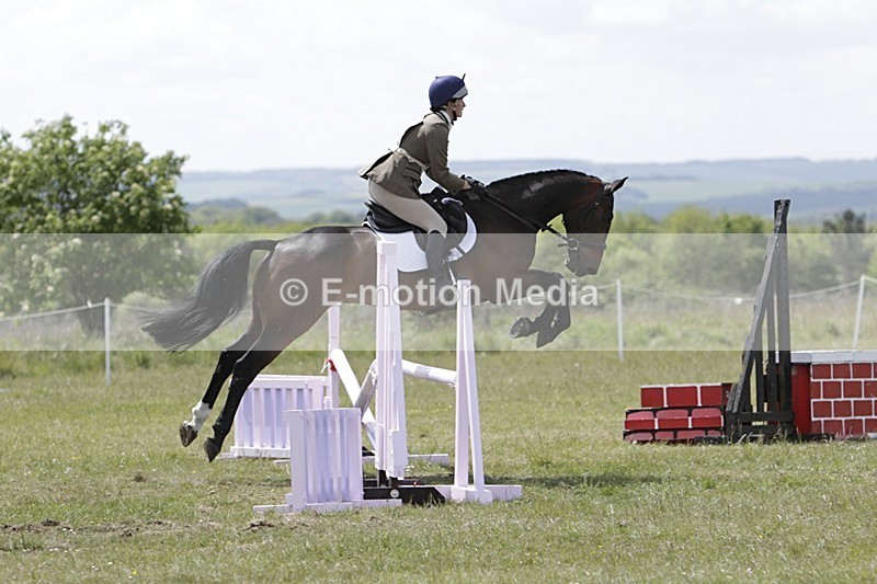 BVHT 140517 N-341 - Class 2 SJ Novice 14/05/17