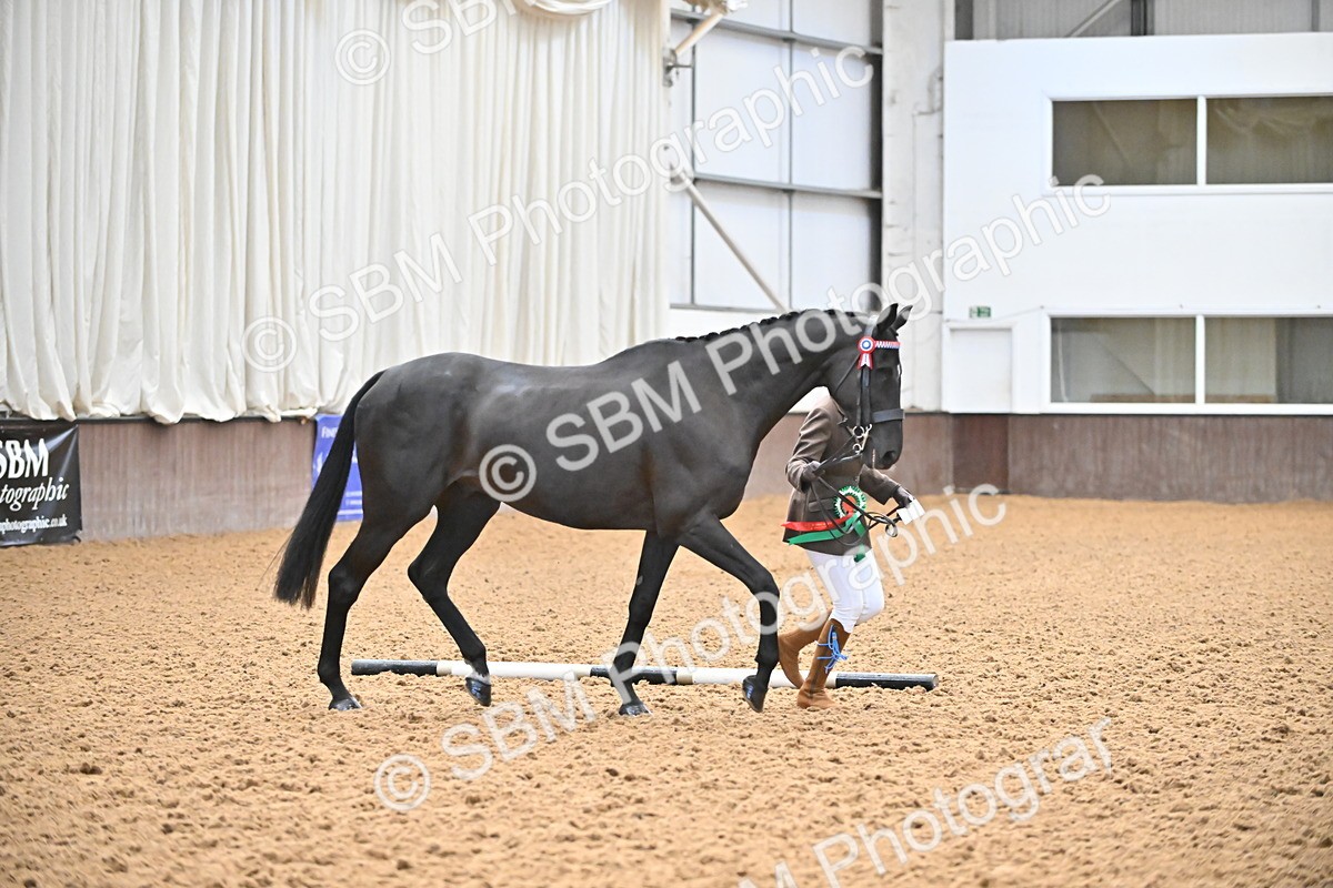 SBM_000260 - Class 7 - ROR Tattersalls In Hand