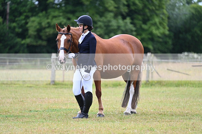 WJ7_6206 - Class 4a Prettiest Mare over 14hh