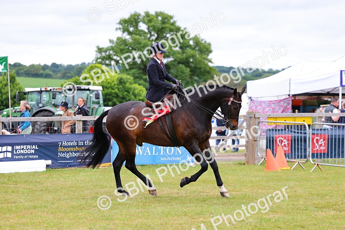 SBM_02878 - Class 9-11 Side Saddle including LIHS Rising Star Ladies Show Horse