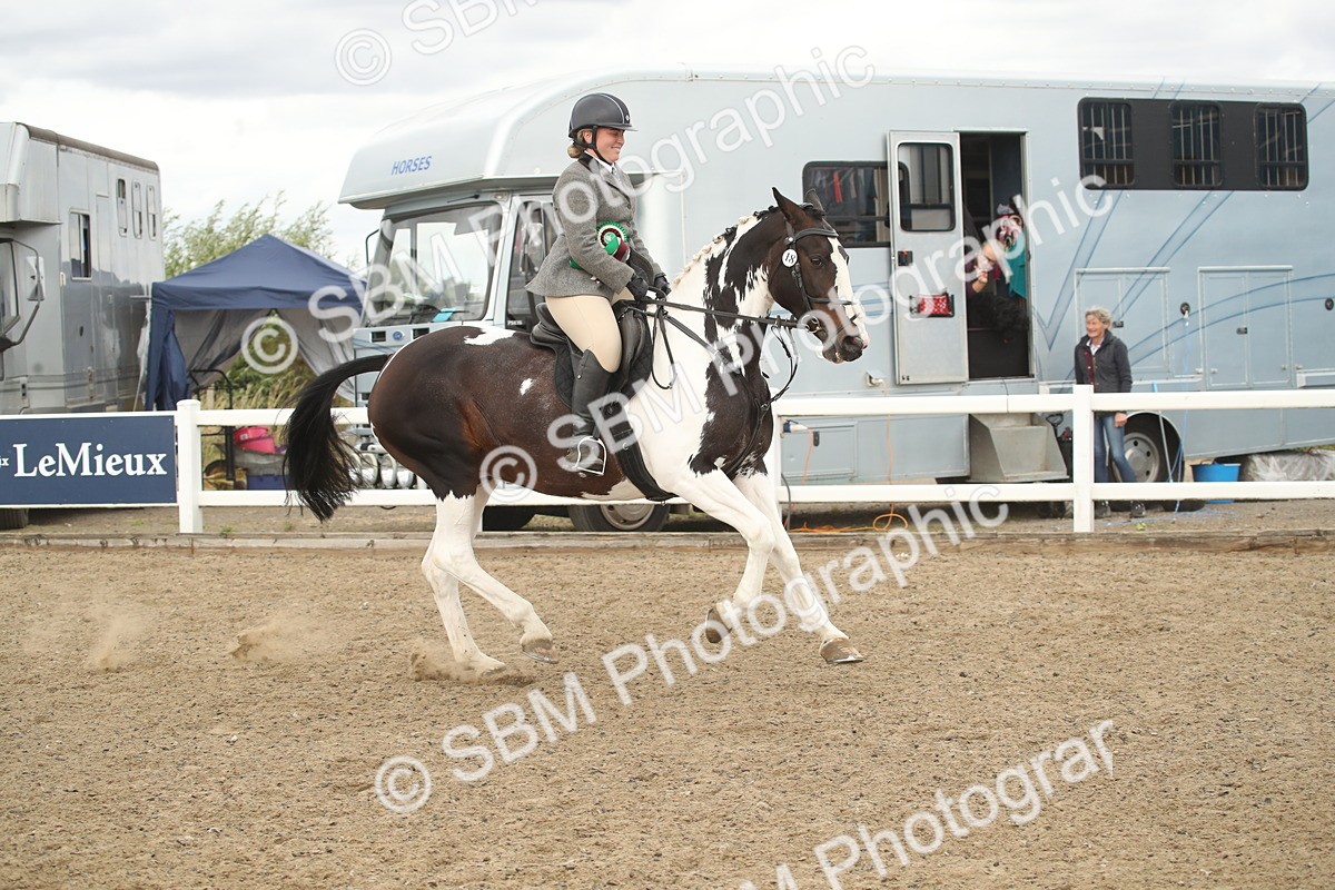 SBM_16721 - Class 507a - Working Veteran - 60cm (15-19)