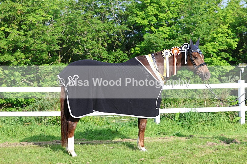 3E7A0308 - Verity Perry