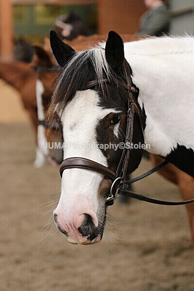 SIAL2446 - Sunday 14th Ridden