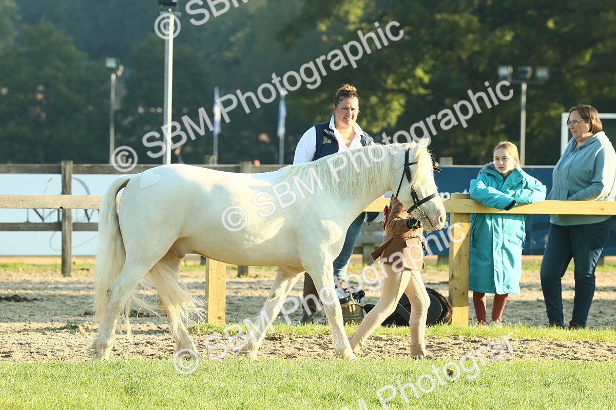 SBM_57365 - S37 - Starters In Hand Showing