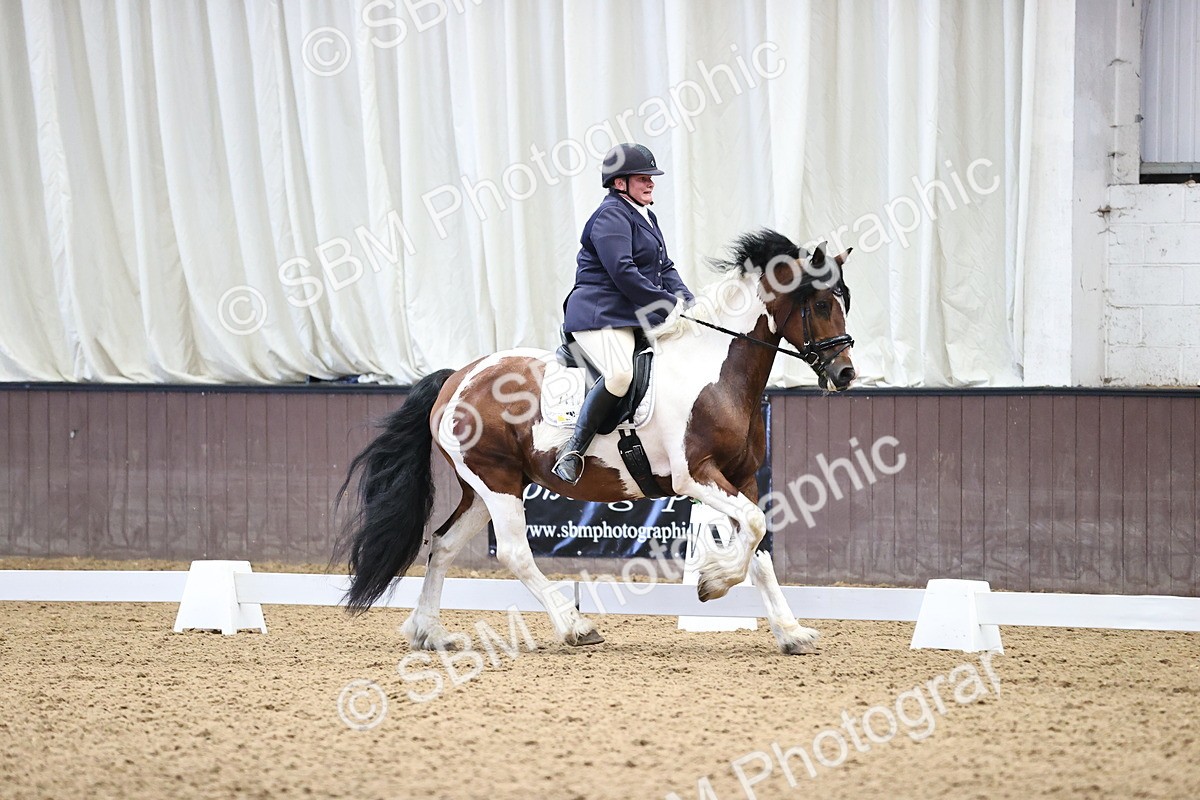 SBM_000484 - Novice 4 Warm Up