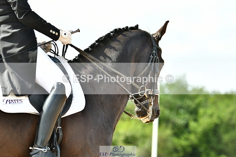 230702A-155927-11070 - Cls 37 + 42 FEI PSG + GP