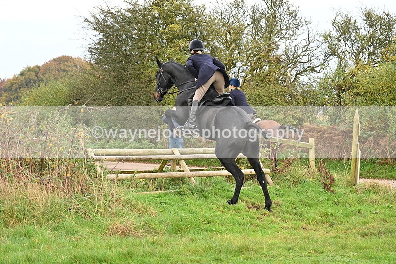 WJ7_0314 - Camera 1 & Last fence