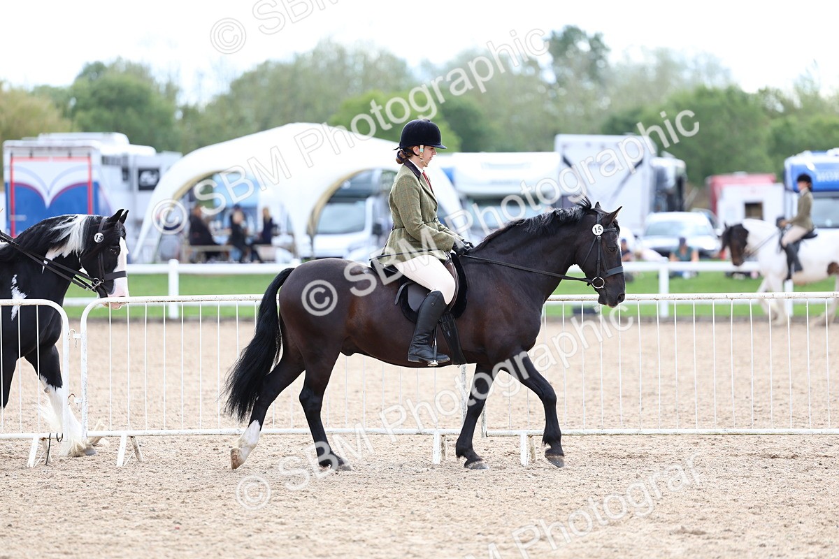 SBM_15752 - Class 314 - Family Horse - Pony