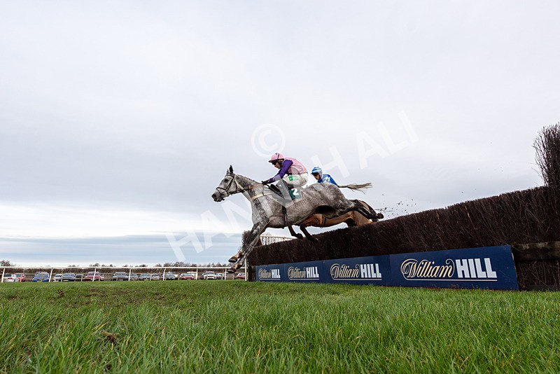 010126-Race 2-El Muchacho-4443 - Race 2