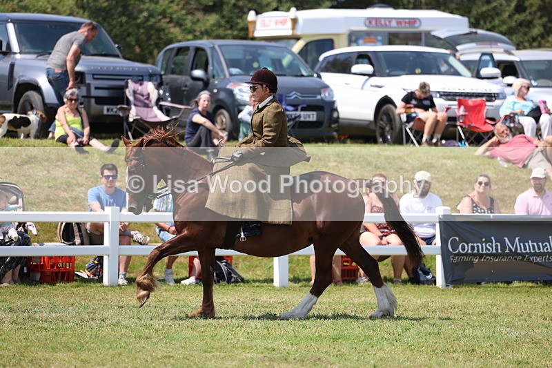 3E7A9728 - Class 13: Side Saddle