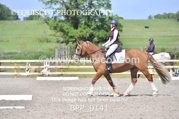 BPP_0141 - SHORT ARENA  MY QUEST PRELIM