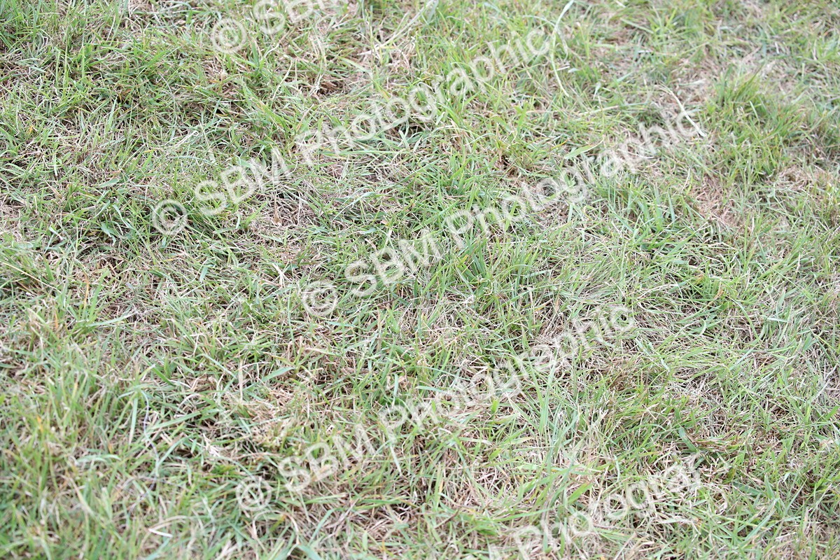 SBM_05884 - Class 12-15 - HOYS Private Driving