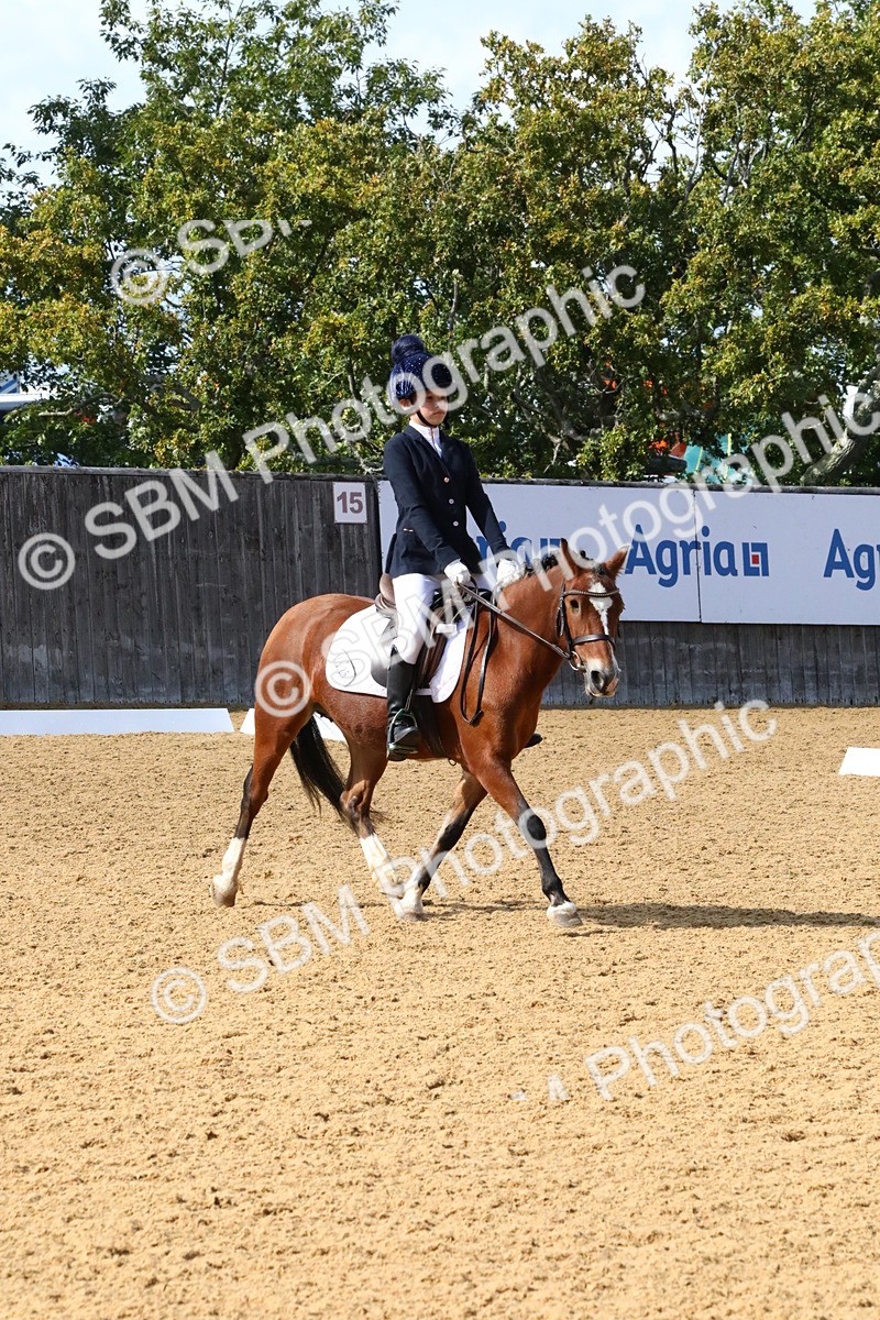 SBM_23576 - D5 - Small Tour Championshop Intro 2