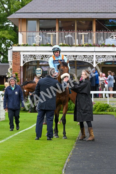 150624-Race 5-The Strikin Viking-7725 - Race 5 4.10pm Reg Griffin Appreciation ebfstallions.com Maiden Stakes