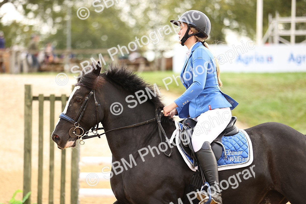 SBM_58249 - J41 - Grand Tour Horse & Pony 95cm